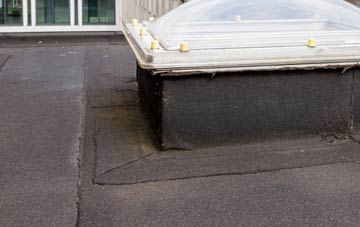 disadvantages of Landshipping flat roofs