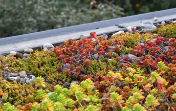 the cost of Landshipping green roof installation