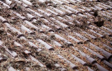 Landshipping roof cleaning companies