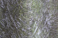 Landshipping fibreglass roof work